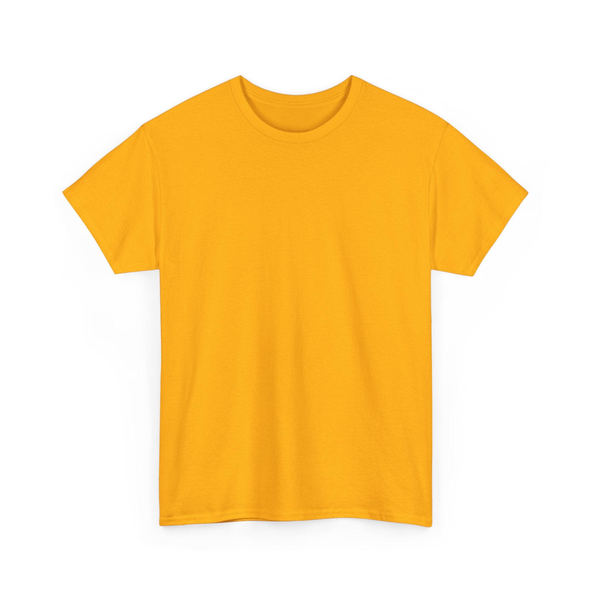 San Francisco 49ers Helmet Tee | Vintage Football Logo Shirt